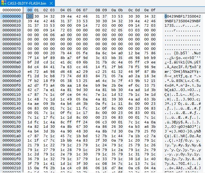 CAS1 CAS2 CAS3 EEPROM/FLASH Recovery